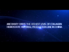 Pengenalan Perusahaan MICONVEY